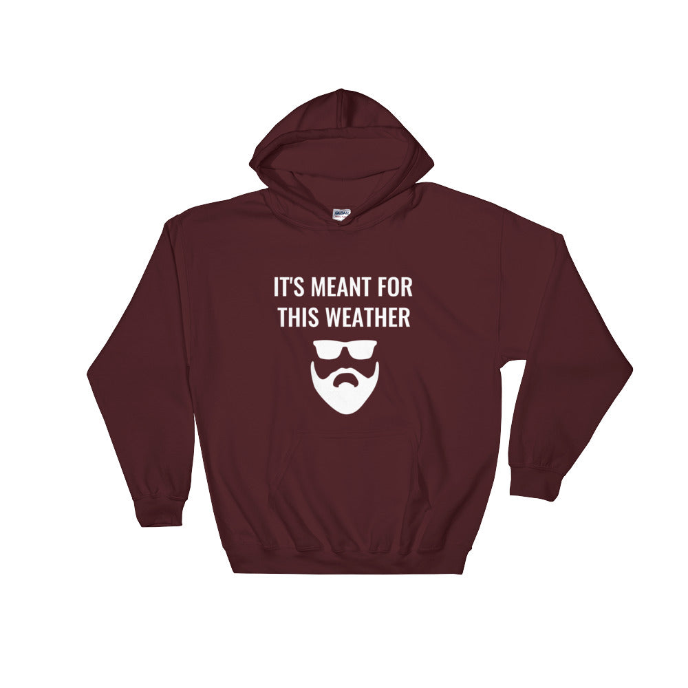 It's Meant For This Weather Hooded Sweatshirt
